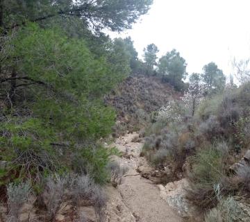 ORIA--RUTA 2--Monte Zurrio (1381 MTS) - ( Los Olvidados Almerienses)