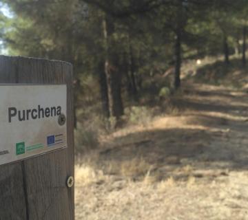 Purchena-Veredas-Alamin-Esparteño-Cuerda de los Pelaos-Nautar-Canfornal-Purchena.