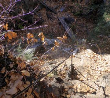 2017-12-10 Otoño en la senda del Agua. Castañar de Paterna del Río