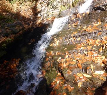 2017-12-10 Otoño en la senda del Agua. Castañar de Paterna del Río