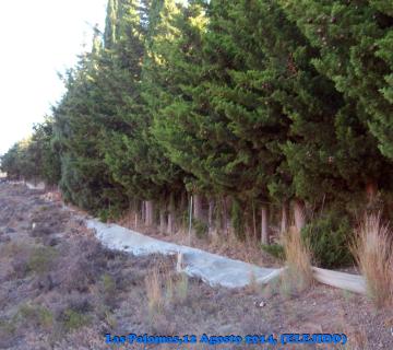 sendero las palomas