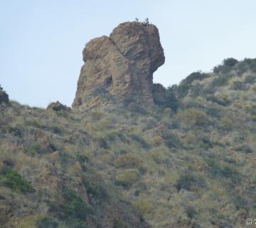 Carboneras-Algarrobico-Sopalmo (P.N. Cabo de Gata)