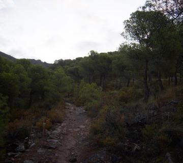 Los Lavaderos de Berja ( PR-A 337)- (Sierra de Gádor)