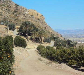 Mojacar-El Jali-Cruce a la Alcantarilla