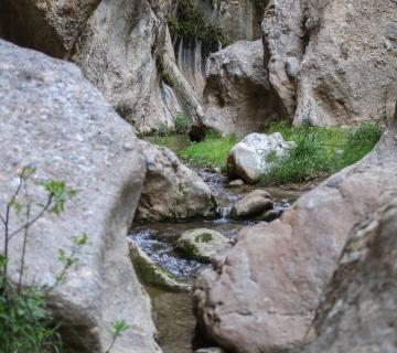 LAS CANALES DE PADULES