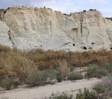 Yacimiento El Argar y La Gerundia