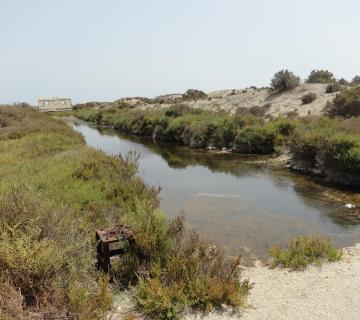 Roquetas de Mar, Paraje Natural Punta Entinas