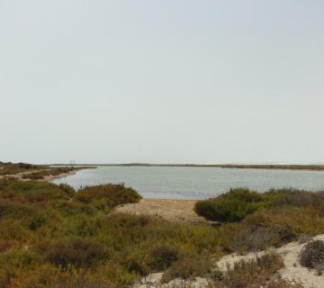 Roquetas de Mar, Paraje Natural Punta Entinas