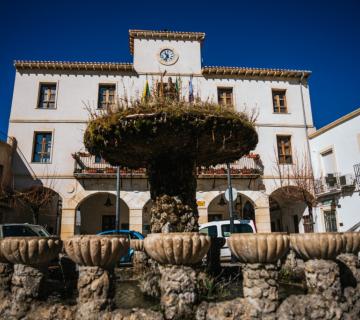 PLAZA ANDALUCIA