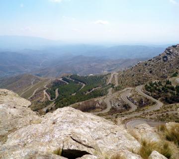 MIRADOR DEL PEDEGRAL