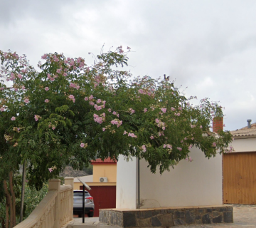 ERMITA DE LA CRUZ