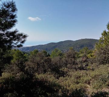 PARAJE NATURAL DE SIERRA ALHAMILLA
