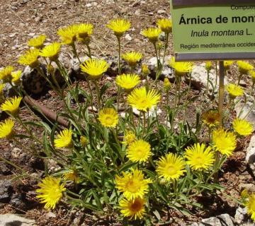 Jardín Botánico La Umbría de la Virgen