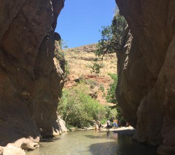 LAS CANALES DE PADULES