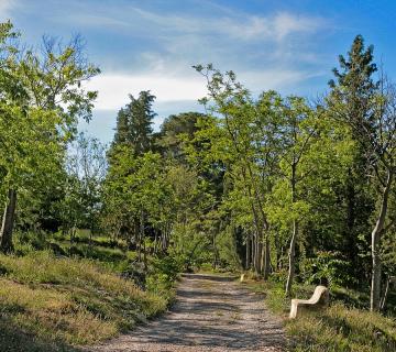 PARQUE PERIURBANO DE CASTALA