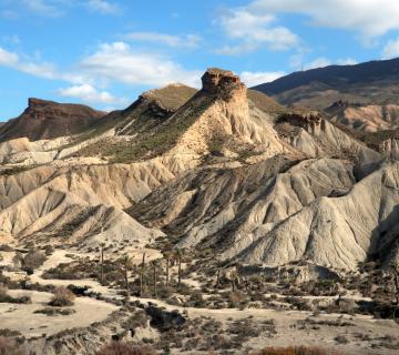 LLANO DEL BÚHO