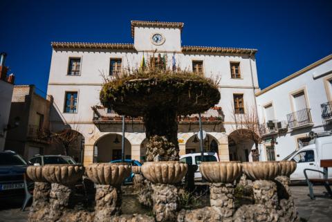 PLAZA ANDALUCIA