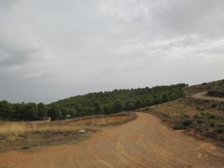 ALHAMA DE ALMERIA - REFUGIO LA ZARBA - SENDERO LOS BARRANQUILLOS (Sª Gádor)